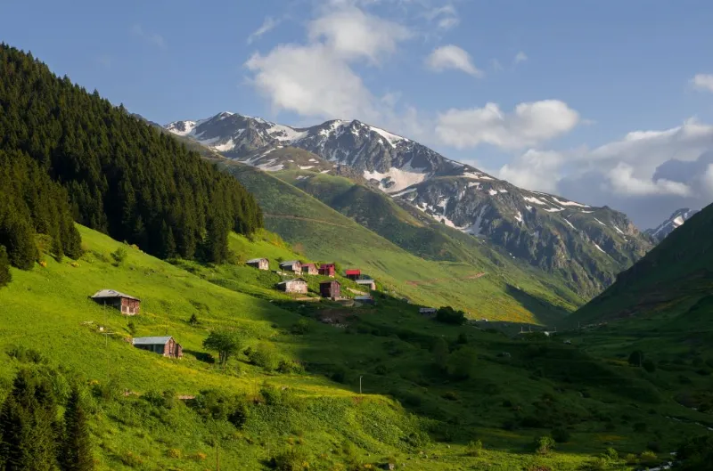 Doğu Anadolu'nun yaylalarından esinlenen Trabzonlu ve Rizeli soyadları